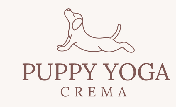 Puppy Yoga Crema